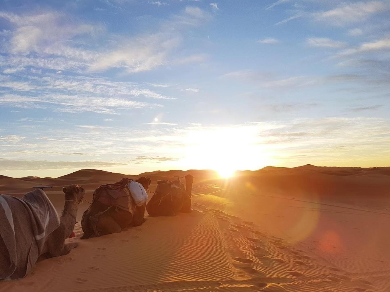 Les Roches Desert Camp Merzouga Dış mekan fotoğraf